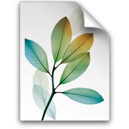 Adobe Creative Suite 2 Premium